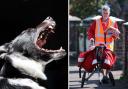 Royal Mail say dog owners could face 5 YEARS in prison if their pet bites a postal worker. Pictures: Newsquest