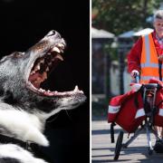 Royal Mail say dog owners could face 5 YEARS in prison if their pet bites a postal worker. Pictures: Newsquest