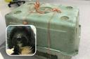 One puppy found dead and three others put down after being dumped in crate