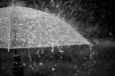 Splashing water on umbrella in the rain in black and white color tone.