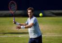 Andy Murray says he think's there's a 'good chance of something happening' at Wimbledon