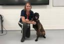 Award winners - Mandy Chapman and retired police dog Baloo on a visit to Writtle University College