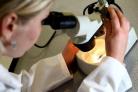 The tests are offered to women in an effort to prevent cervical cancer