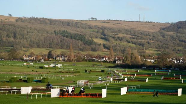Brentwood Live: The opening day of the Cheltenham Festival is called Champions Day. (PA)