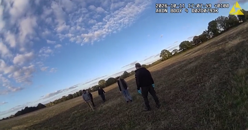 Three dogs seized after deer chased in Essex field