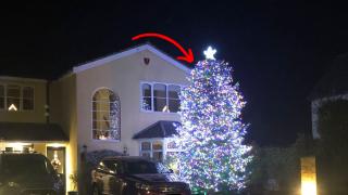The huge Christmas tree pictured last year, to which it has only gotten bigger since